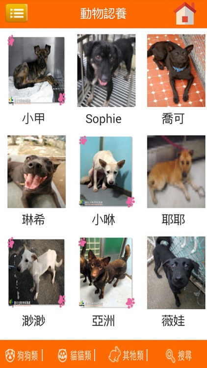 臺北市動物福利