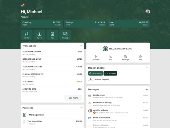 MCB Go iPad screenshot 1 - Finance app