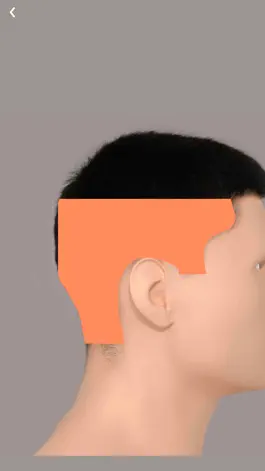 Game screenshot Fade Calculator mod apk