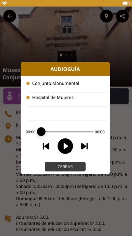 Museos en Línea screenshot-4