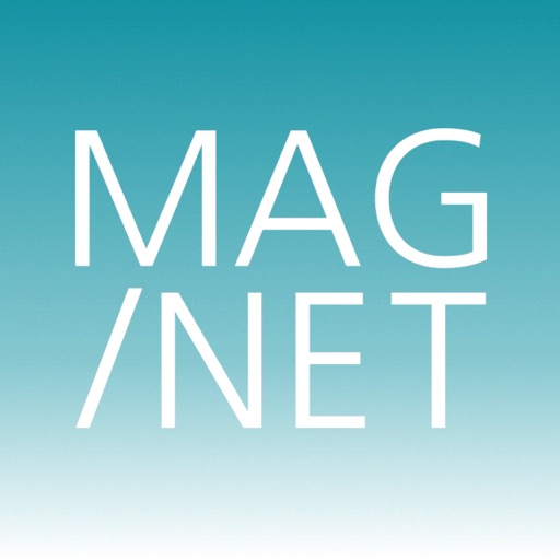 Artifact: MAG/NET icon