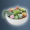 Idle Plant Pot 3D contact information