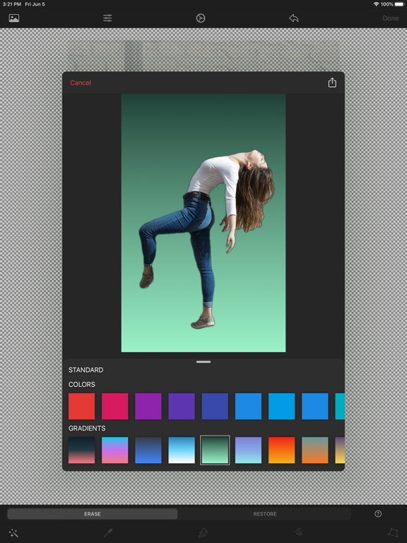 Background Remover Studio iPad screenshot