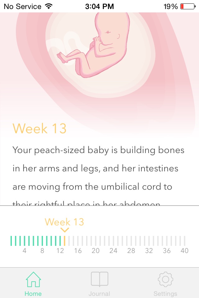 Pregnancy Tracker ‎ screenshot 3