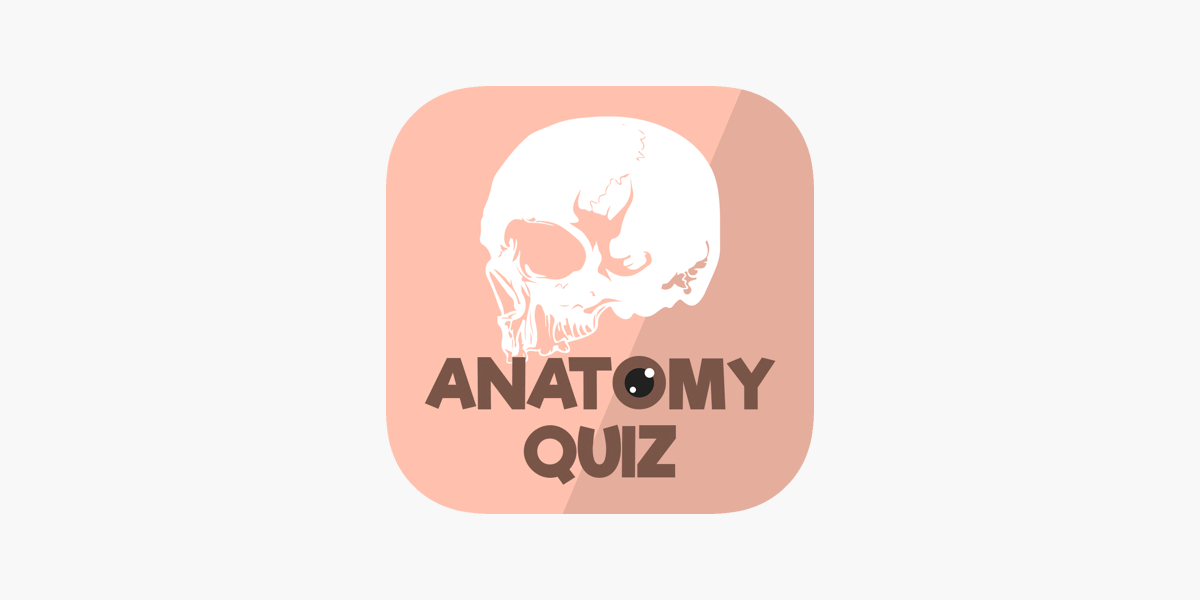 Quiz Conhecimentos Apk Download for Android- Latest version 1.7