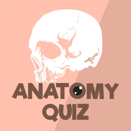 Anatomy & Physiology Quiz Cheats