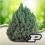 Purdue Shrub Doctor App Contact