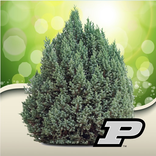 Purdue Shrub Doctor