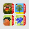 SUNBIRD Naturführer Box Deutschland - Pilze, Vögel, Blumen + Bäume perfekt bestimmen