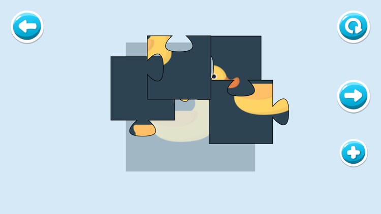 Let's learn? Animals