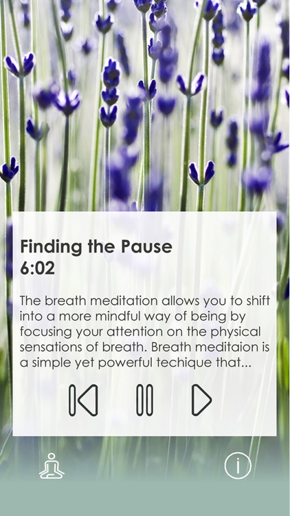 Mindful Moments by CCW