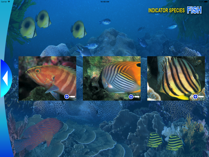 Reef Check Hong Kong