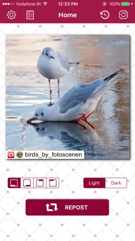 Game screenshot Repost Now :  Photo & Video mod apk