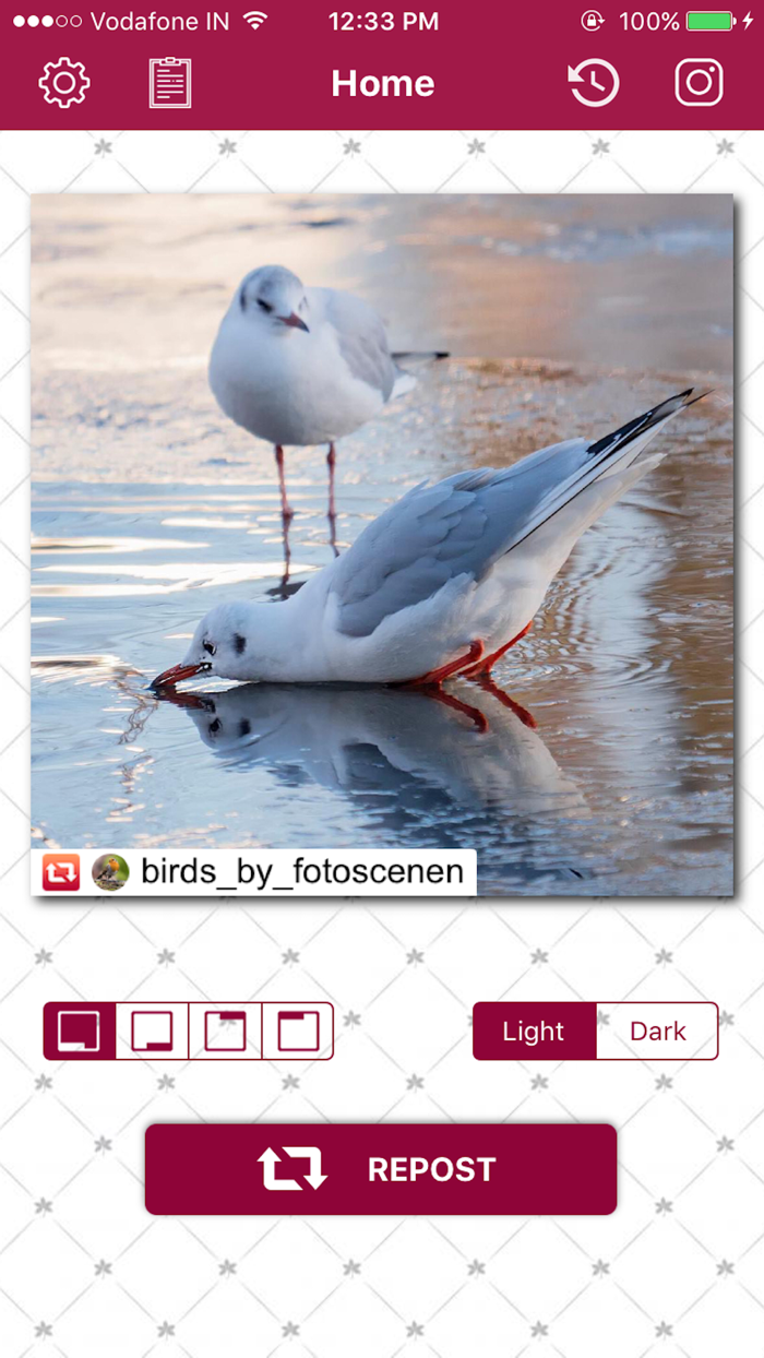 Repost Now   Photo and Video