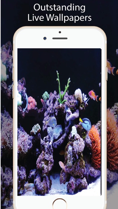 Aquarium Live Wallpapers for Uのおすすめ画像3