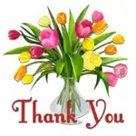 Sorry & Thank You & Miss You App Alternatives
