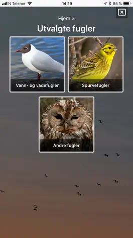 Game screenshot Fugler i nærmiljøet apk