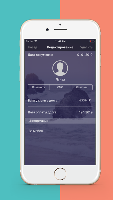 Debtor Screenshot
