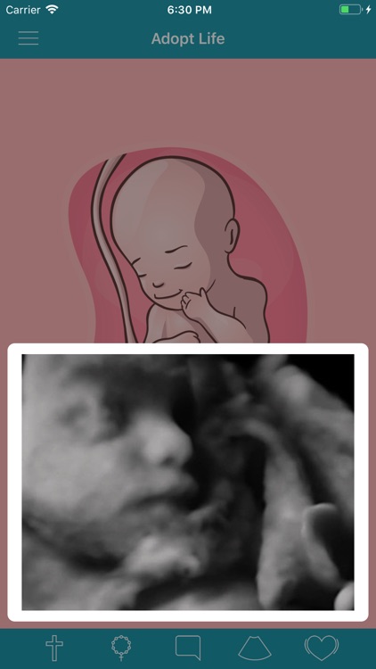 Adopt Life screenshot-5