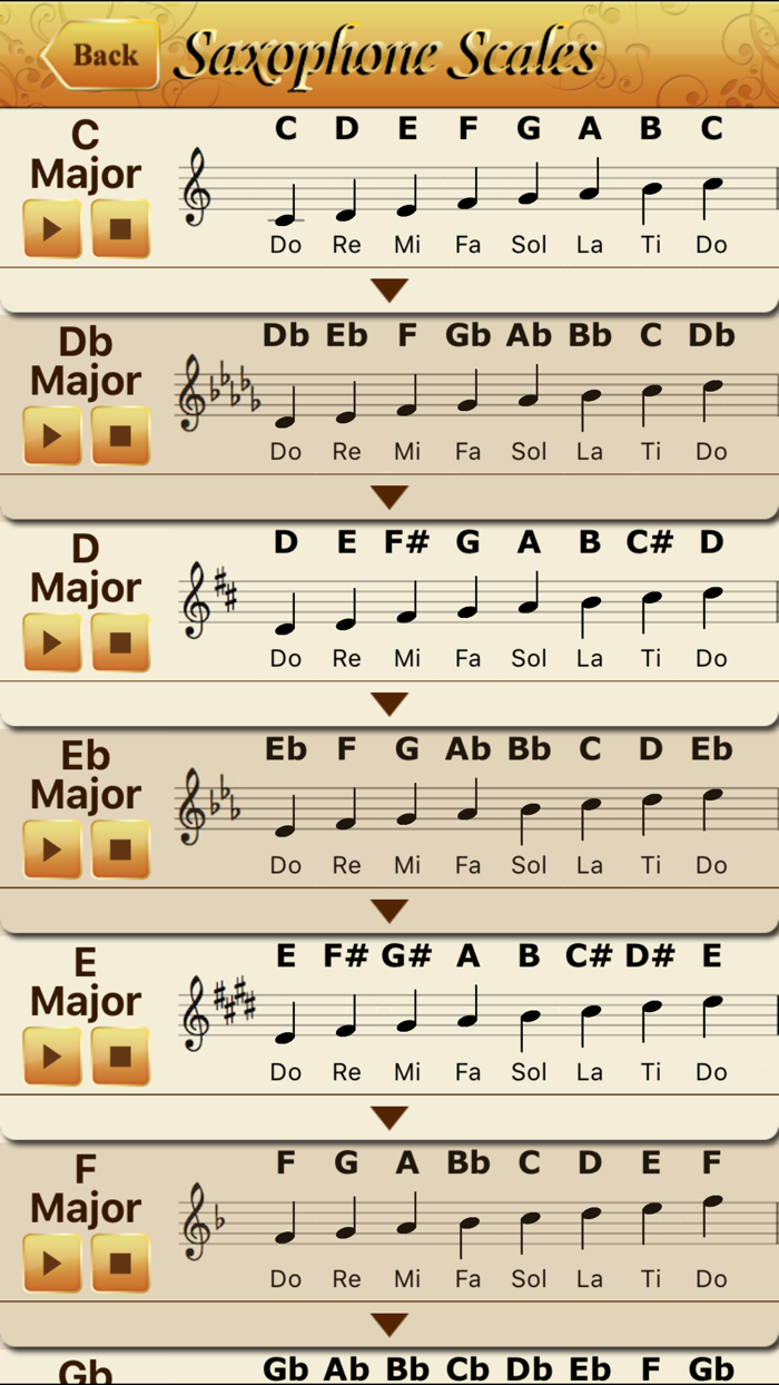 Saxophone All-in-one