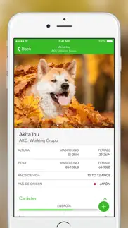 iknow dogs: identificar razas iphone capturas de pantalla 3