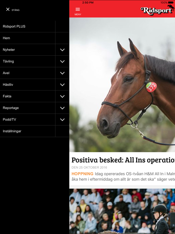 Screenshot #6 pour Tidningen Ridsport