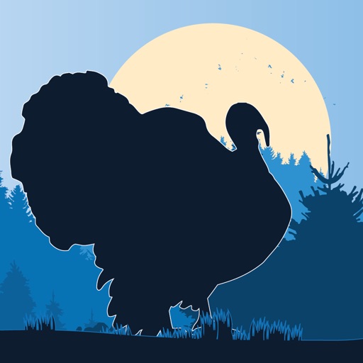 Wild Turkey Calls