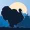 Wild Turkey calls is a very user friendly soundboard for your turkey hunting experience