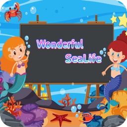 Wonderful Sea Life
