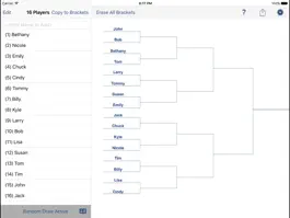 Game screenshot Big Bracket Maker for the iPad mod apk