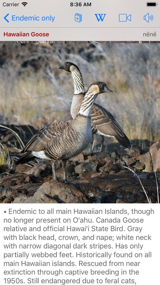 #4. Bird ID Hawaii (iOS) 由: John P. Hoover