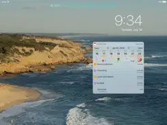 WidgetCal-Calendar Widget iPad image 3