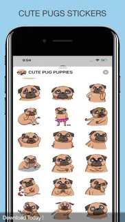 cute pug puppies problems & solutions and troubleshooting guide - 3