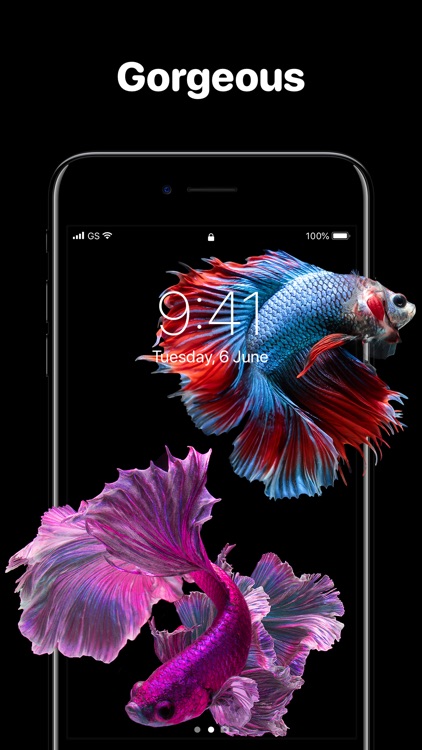 Live Wallpapers－Home Screen HD screenshot-3