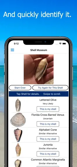 Game screenshot Shell Museum: Identify Shells hack
