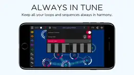 rotor - tangible music synth iphone resimleri 3