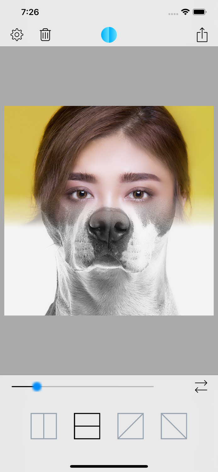 Face Stitch  Blend and Mirror