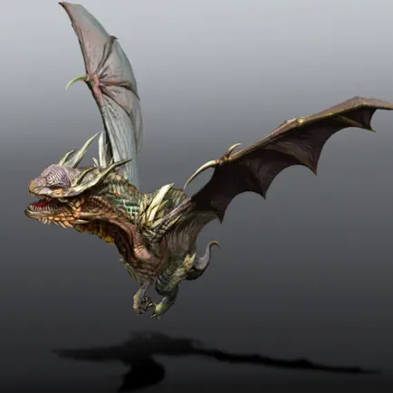Dragon Rider - Dungeon Cheats