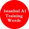 Istanbul A1 - Training words icon