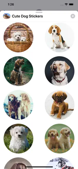Game screenshot Cute Dog Sticker Set apk