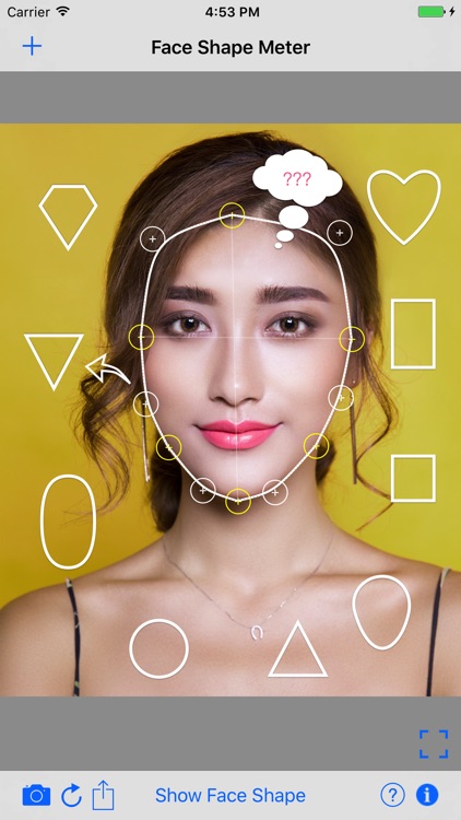 Face Shape Meter camera tool