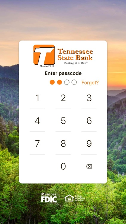 TNStateBank Mobile screenshot-3