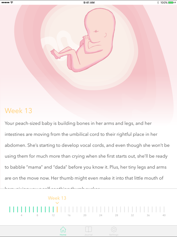 Screenshot #6 pour Pregnancy Tracker ‎