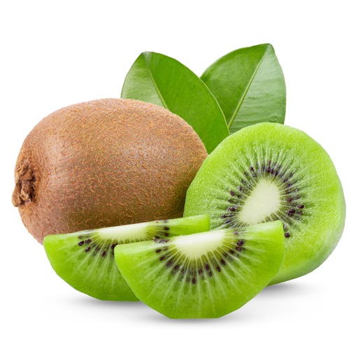 Animated Kiwi Fightless