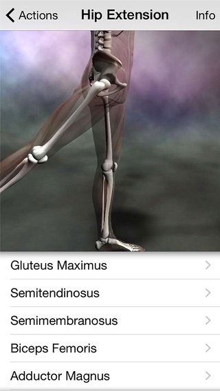 Learn Muscles: Anatomyのおすすめ画像3