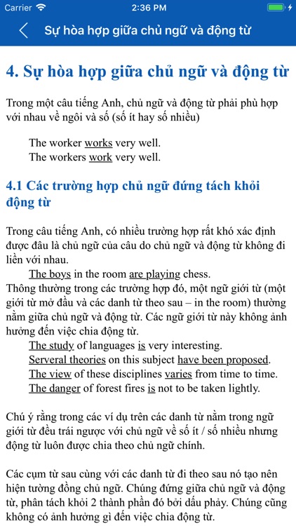English Grammar TFlat screenshot-3