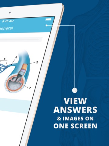 USMLE Clinical Anatomy Quizのおすすめ画像3