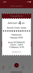 Стриж Транспорт screenshot #4 for iPhone