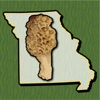 Missouri Mushroom Forager Map!