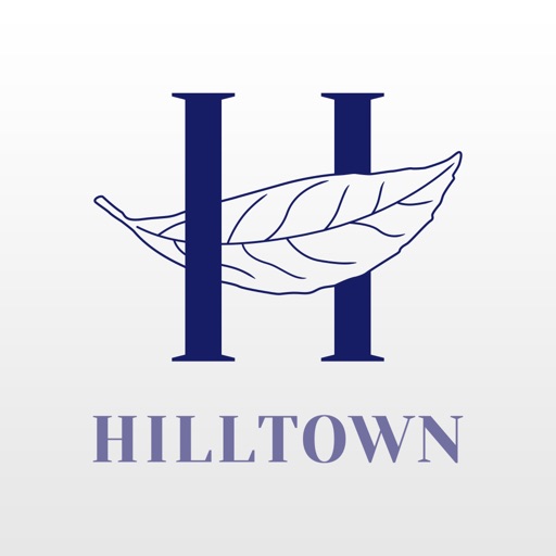 Hilltown AVM